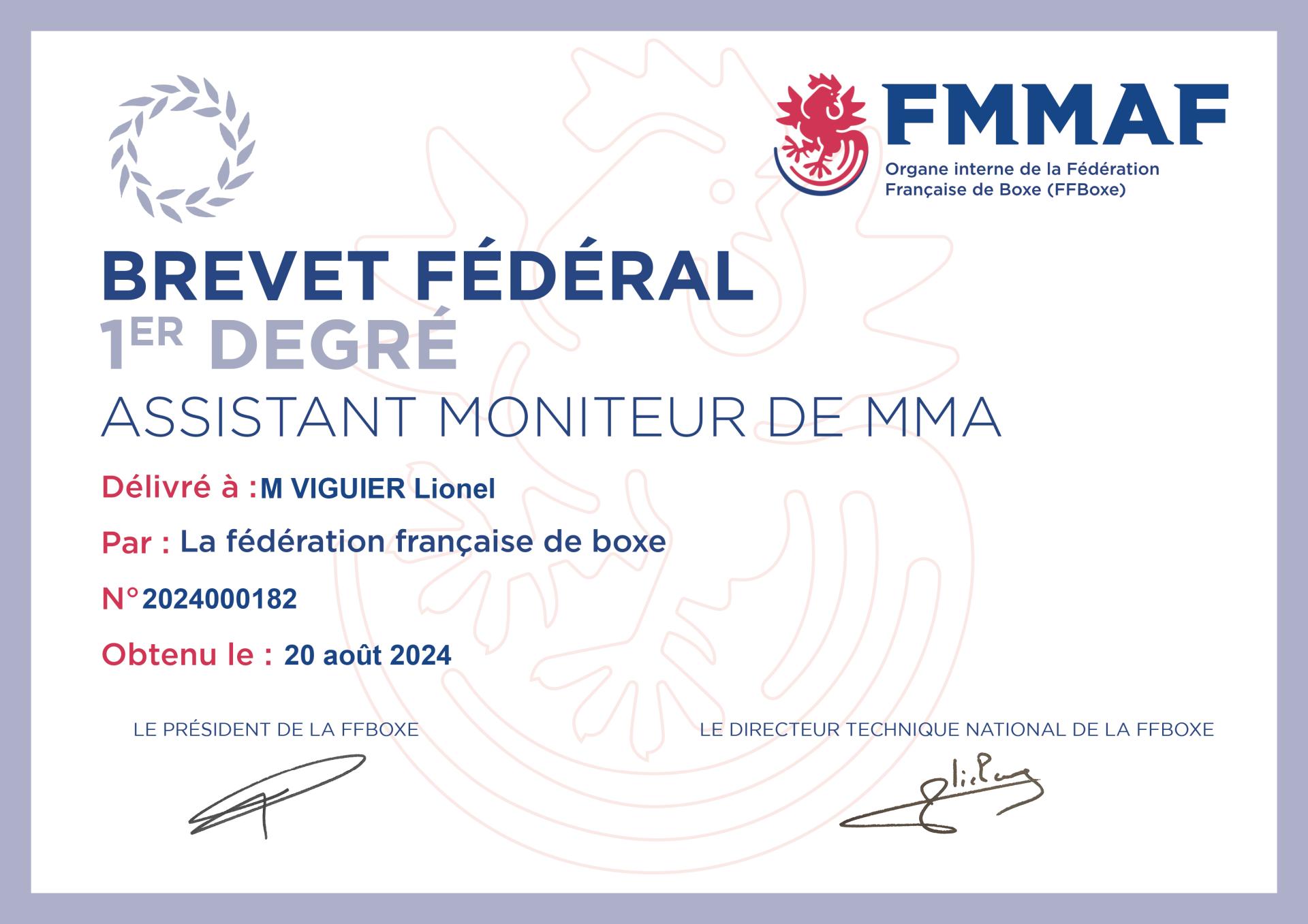 Bf1 assistant moniteur de mma lionel viguier