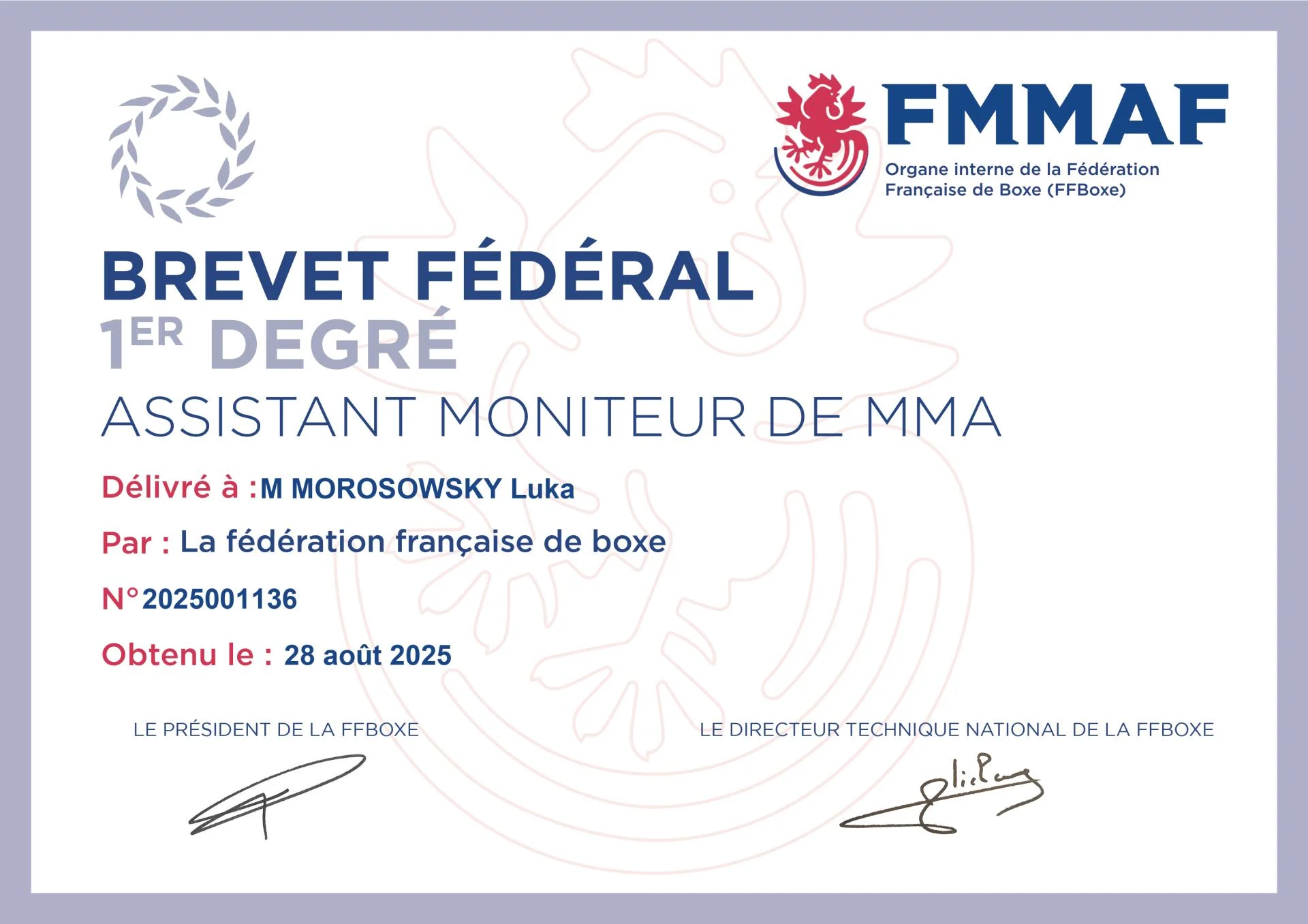Bf1 assistant moniteur de mma luka